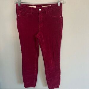 Pilcro High Rise Skinny Ankle Corduroy Pants Women's Size 29 Grape Purple